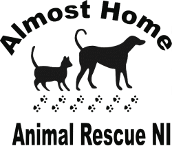99 New Almost home animal rescue facebook for Small Space
